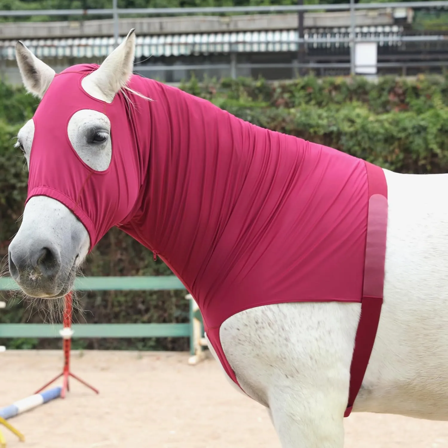 Stretch Horse Slinky Hood Spandex Mane Stay Hoods with Zipper WineRed X-Large
